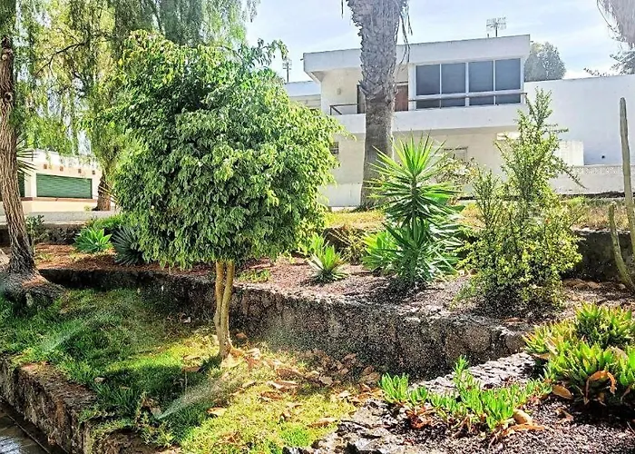 Bouganville En Eureka