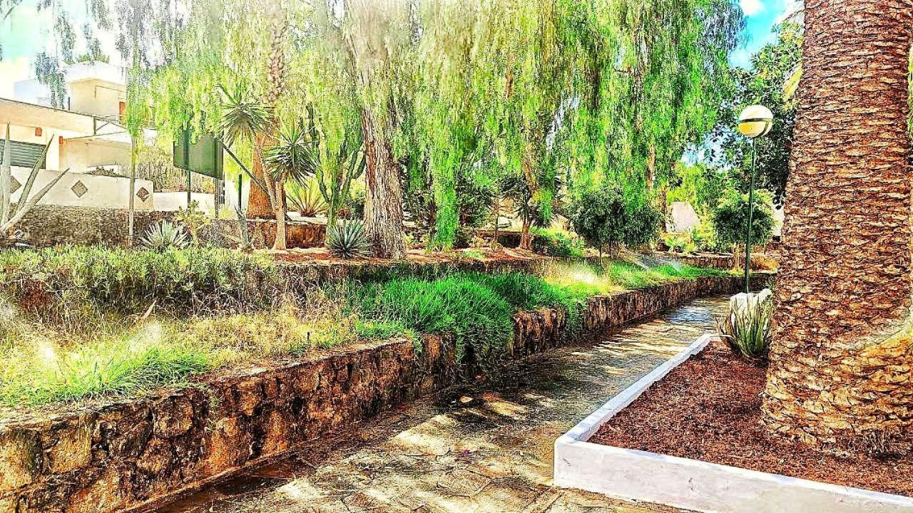 Bouganville En Eureka